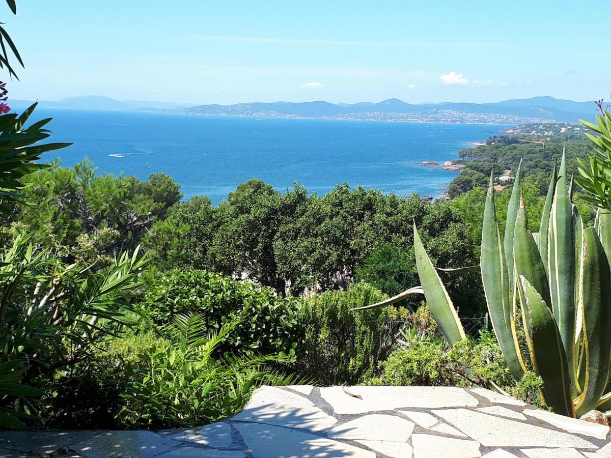 Duplex, Vue Panoramique Sur La Mediterranee, Piscine, Garage Saint-Raphaël Exterior foto